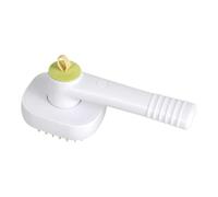 Steam Brush for Cats | Steam Mist Massage Soft Rechargeable Comb