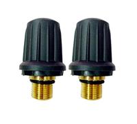 Steam Cleaner Safety Valve, Chiusura 1/2 pezzi 4.590-105.0 Tappo for 1.512-211. Accessori for pulitori a vapore SI2125, compatibili con Karcher. Valvola di bloccaggio con O-ring,parts(2 PACK)