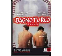 Steam: The Turkish Bath