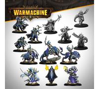 Steamforged Games Warmachine: Dusk House Kallyss Auxiliary Expansion