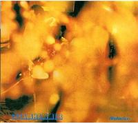 STEAMHAMMER - REFLECTION