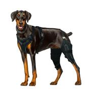 Stecca per gambe per cani | Stecca ACL della gamba posteriore | Stecca regolabile per displasia dell'anca per cani | Ginocchiera ACL per cani - Supporto per alleviare i dolori articolari