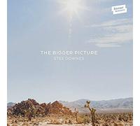 Stee Downes - The Bigger Picture