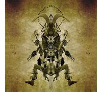 Steel Hook Prostheses - Calm Morbidity