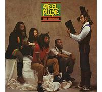 Steel Pulse - True Democracy