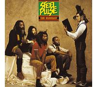 Steel Pulse - True Democracy