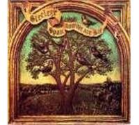 STEELEYE SPAN - STEELEYE SPAN, now we are six Solid green label. First UK pressing 1974. Chrysalis