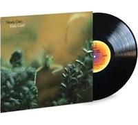 Steely Dan - Steely Dan - Katy Lied