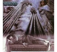 Steely Dan - Royal Scam