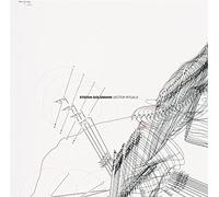 Stefan Goldmann - Vector Rituals
