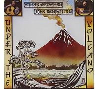 Stefan Grossman - Under the Volcano