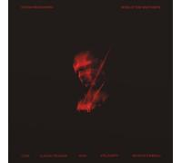 Stefan Wesolowski Stefan Wesolowski: Song of the Night Mists (Vinyl LP)