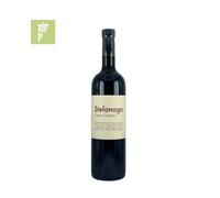 Stefanago - Campo Castagna Oltrepò Pavese DOC 2013