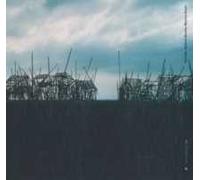 Stefania Beretta e Maurizio Anzeri. «Places». Scenari del reale e cattedrali della mente