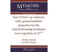 Stefano Burzio Type II Blow Up Solutions with Optimal Stability Pro (Tascabile)