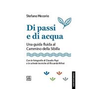 Stefano Mecorio Di passi e di acqua. Una guida fluida al Cammino del (Tascabile)