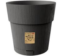 Vaso In Plastica Ethica Con Riserva Acqua, 25Cm, Grafite