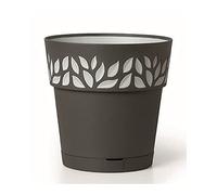 Stefanplast Vaso, Grafite