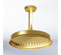 Steinberg 350 soffione doccia, 1 tipo di getto, 350 1580 BG, 350; 355 Metamorphosis by Daniele Daminelli oro spazzolato [Rubinetteria Bagno > Soffioni Doccia]