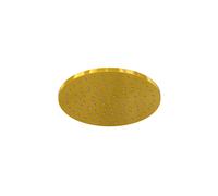 Steinberg Série 100 Douche de tête, douche de pluie, ronde, 200x8 mm, 1001687BG, 1001687BG, Colorazione: Oro spazzolato