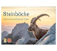 Steinböcke - Eindrückliche Könige der Alpen (Wandkalender 2027 DIN A3 quer), CALVENDO Monatskalender: Stolze Steinböcke in den Schweizer Alpen
