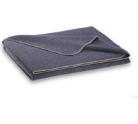 Steiner 1888 Coperta Alina - grafite