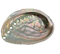 Steinfixx Conchiglia di Abalone I conchiglia marina I ciotola per affumicatura, 120 x 90 x 35 mm, conchiglia Paula
