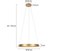 Steinhauer Lampada LED a sospensione Ringlux, a 1 luce, color oro, metallo Steinhauer