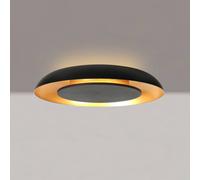 Steinhauer Plafoniera LED Golden Veil, nero/oro, dimmerabile, metallo Steinhauer