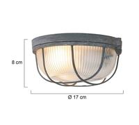 Steinhauer Plafoniera Lisanne, grigio, Ø 17 cm, metallo, vetro, E27 Steinhauer