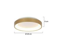 Steinhauer Plafoniera Ringlede LED, oro, altezza 6 cm, Ø 28 cm Steinhauer