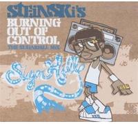 Steinski - Burning Out of Control