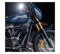 Steli forcella da 49 mm lunghezza standard oro softail 18-UP m8 Arlen ness