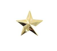 Stella Generale Dorata da 22 mm con Perno per 2, 3, 4 o 5 Stelle Esercito Militare