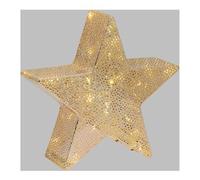 Stella luce fissa (30x28cm) XMAS KING 24 luci - LED Bianco caldo IP20 Champagne 63150