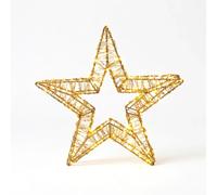 Stella Luminosa Natalizia 40 cm con 600 LED Luce Calda, Struttura Oro, Idonea Anche per Esterni