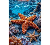 Stella marina Puzzle 120 Pezzi 25x20 cm Puzzle Fai da te,Intrattenimento Creativo - Puzzle Per Adulti E Tutta La Famiglie
