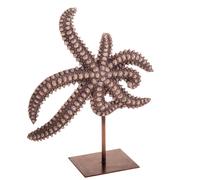 Stella Marina Resina H 34 cm