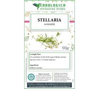 Stellaria sommità taglio tisana, decongestionante, antinfiammatoria