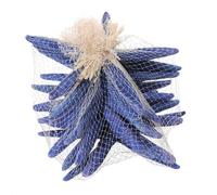 Stelle Marine Colorate 10 Pz 15x20 cm