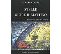 Stelle oltre il mattino