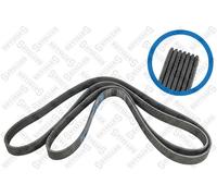 STELLOX Cinghia A V Per Ford Transit Pritsche/Fahrgestell FM FN 2.4