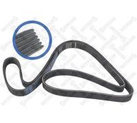 STELLOX Cinghia A V Ribs Per VW Golf V 1K1 1.4 TSI 1.6 FSI 5K1 6R 9N 1K5 Ford