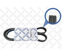 STELLOX Cinghia A Vite Per Fiat Panda 312 1.2 0.9 169 1.1 Tipo Kombi 356 1.4