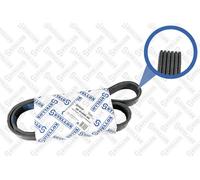 STELLOX Cinghia A Vite Per VW Golf V 1K1 1.4 TSI 5K1 6R 1.6 Bi-Fuel 9N SGA