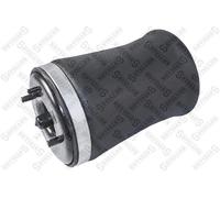 STELLOX Cuscinetto D'Aria Sospensione Posteriore Destra Per BMW X5 E53