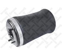 STELLOX Cuscinetto D'Aria Sospensione Posteriore Sinistra Per BMW X5 E53