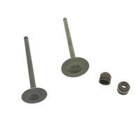 Stelo della valvola di Aspirazione Paraolio Della Valvola for CB100 CB110 CB 100 100cc 110cc