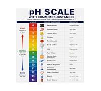 STEM Chemistry Decor pH Scale Acid Base Poster Science Classroom Wall Art for Middle School High School Teachers Students Gift(Framed,16X24inch(40X60cm))