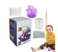 STEM Crystal Science Kit - Crescere il proprio progetto educativo con cristalli | Divertente giocattolo educativo per bambini 8 e up, regalo per esperimenti scientifici per ragazze a casa o classe